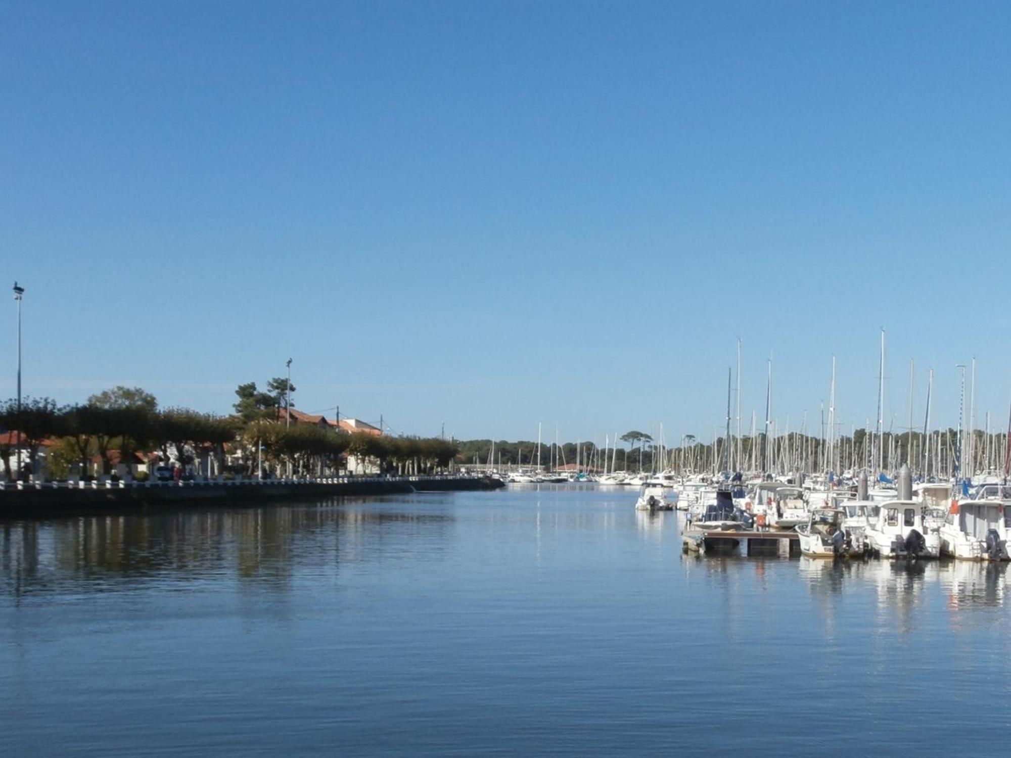 Charmant T3 De Standing A Capbreton, Jardin, 3 Chambres, Terrasse Couverte, Proche Port Et Plages - Fr-1-239-484 Exterior foto